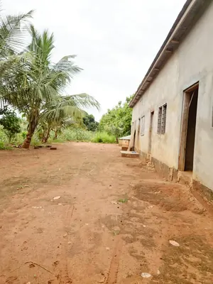 11 lots 5 pièces 6651 m² en vente à Kovié Dzemeké – 45 millions FCFA — photo 2