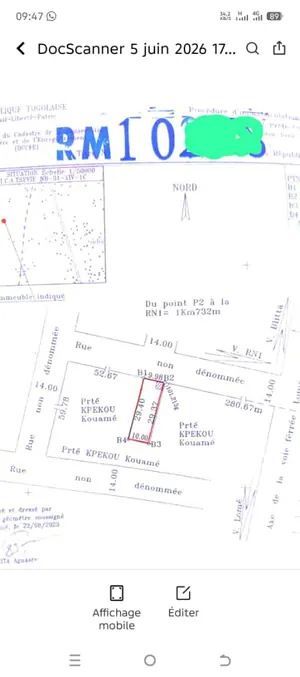 Terrain demi lot 300 m² en vente à Zossimé – 15 millions FCFA — photo 3