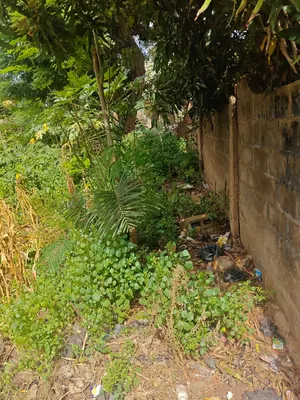 Vente d'un terrain à Agoé Assiyéyé, 2 lots et demi clôturés, à 200 m du goudron – 130 millions FCFA — photo 2