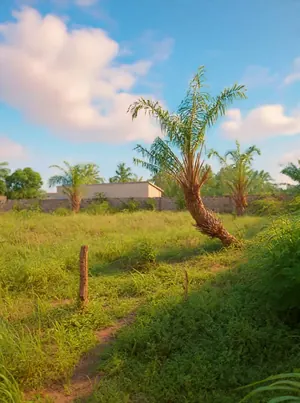 Terrain 1 lot en vente en bordure de rue de 16 m à Sagbado Gbomame – 22 000 000 FCFA
