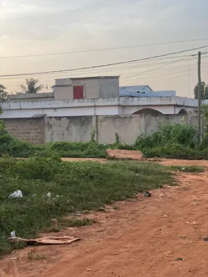 Terrain demi-lot à vendre à Agoè Mariam – 25 millions FCFA — photo 2