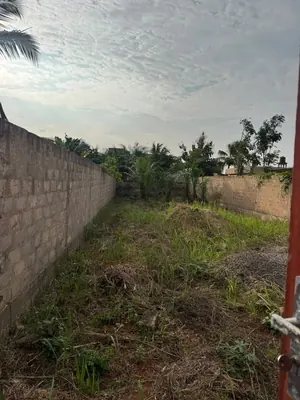 Terrain 2 lots à vendre à Sagbado – prix à partir de 38 millions FCFA le lot — photo 3