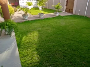 Villa duplex meublée 9 pièces à vendre à Baguida Cité BOAD – 400 millions FCFA — photo 3