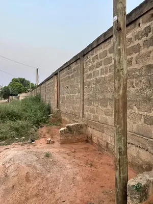 Terrain 1000 m² en vente à Zanguera Klémé Château – 33 millions FCFA — photo 2