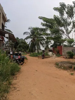 Terrain 300 m² en vente à Sagbado Logoter – 15 millions FCFA — photo 4