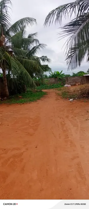 Terrain 2 lots (1200 m²) en vente à Aképé Jérusalem, proche du goudron – 18 millions FCFA
