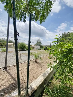 Vente d'hectares à Badja, 6 hectares, proche du goudron – 7,5 millions FCFA l'hectare — photo 9