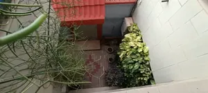 Vente d'une maison à Bè Kpehenou, 8 chambres, 5 boutiques, 453 m², en bordure de route principale – 140 millions FCFA — photo 5