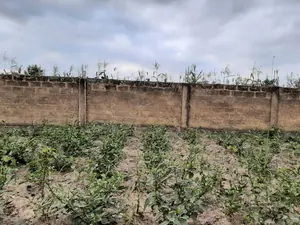 Terrain 4 lots à vendre à Zanguera Dangbessito (Kpalamonou) – prix à partir de 22 millions FCFA le lot