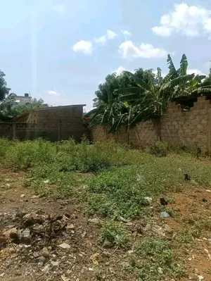 Terrain 1501 m² en vente au bord du goudron à Avédji Jourdain – 375 millions FCFA — photo 5