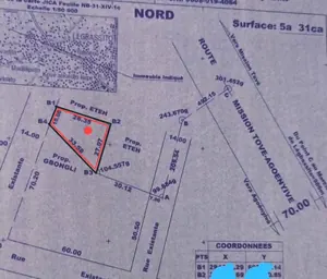 Terrain 531 m² en vente à Agoè Legbassito Zovadjin – 16 millions FCFA — photo 1