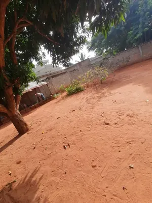 Terrain demi-lot 300 m² en vente à Adidogomé Segbé Klemè – 15 millions FCFA — photo 2