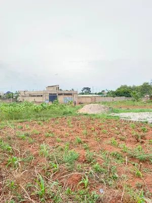 Terrain 1 lot (600 m²) en vente à Agoè Legbassito Adidomé – à partir de 9,5 millions FCFA — photo 4