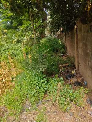 Vente d'un terrain à Agoé Assiyéyé, 2 lots et demi clôturés, à 200 m du goudron – 130 millions FCFA — photo 5