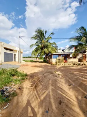 Terrain 1 lot en vente à Légbassito-Zovadjin – 15 millions FCFA — photo 3