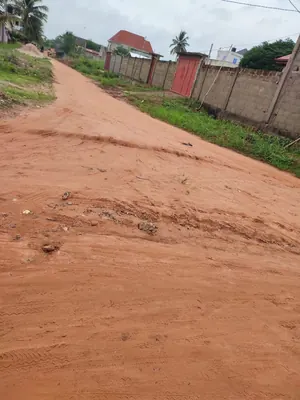 Terrain clôturé en vente à Segbé Carrefour Démé – 25 000 000 FCFA