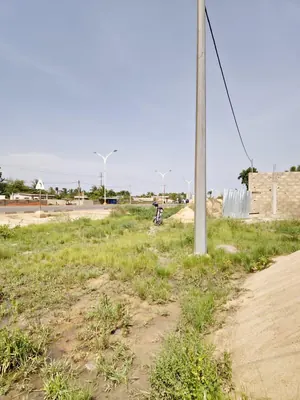 Terrain 1 lot (600 m²) en vente au bord du grand contournement à Dangbessito Kpalamonou – 60 millions FCFA — photo 4