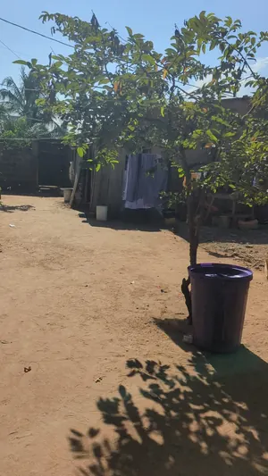 Vente d'un terrain à Nanégbé, demi-lot (30/10), 2 pièces, clôturé, proche du goudron – 19 millions FCFA à débattre — photo 3