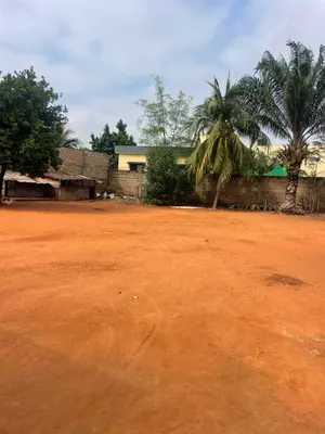 Terrain 601 m² en vente à Adidoadin, proche du goudron – 75 millions FCFA — photo 3