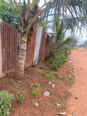 Terrain 300 m² en vente à Akato derrière Candide – 8 millions FCFA — photo 1