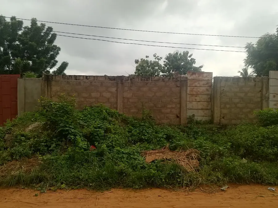 Terrain 300 m² à vendre à Kloblatemé – 9 millions FCFA