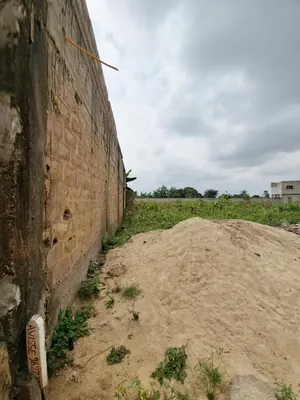 Terrain 270 m² en vente à Apessito, proche du goudron – 8 millions FCFA — photo 4