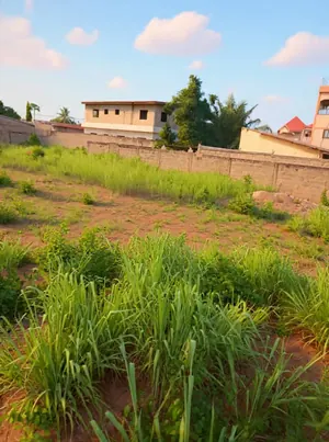 Terrain en vente à Adidogomé derrière la base EBOMAF – 55 millions FCFA — photo 5