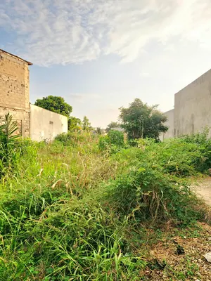 Vente d'un terrain au Rond-point Avinato (Légbassito), 1 lot, 559 m², titre foncier personnel – 35 millions FCFA — photo 7