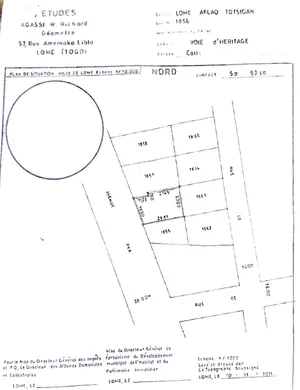 Terrain 1 lot en vente en bordure de goudron à Totsi – 110 millions FCFA — photo 1