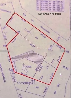 Terrain 8 lots en bordure de goudron à vendre à Tokoin Novissi – 1,5 milliards FCFA