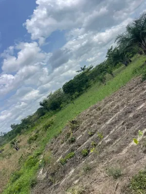 Vente d'un terrain à Avépozo, demi-lot, proche du goudron – 22 millions FCFA — photo 3