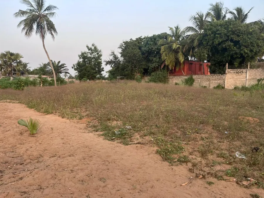 Vente d'un terrain à Agbodrafo, 1 050 m², angle de rue – 16 millions FCFA