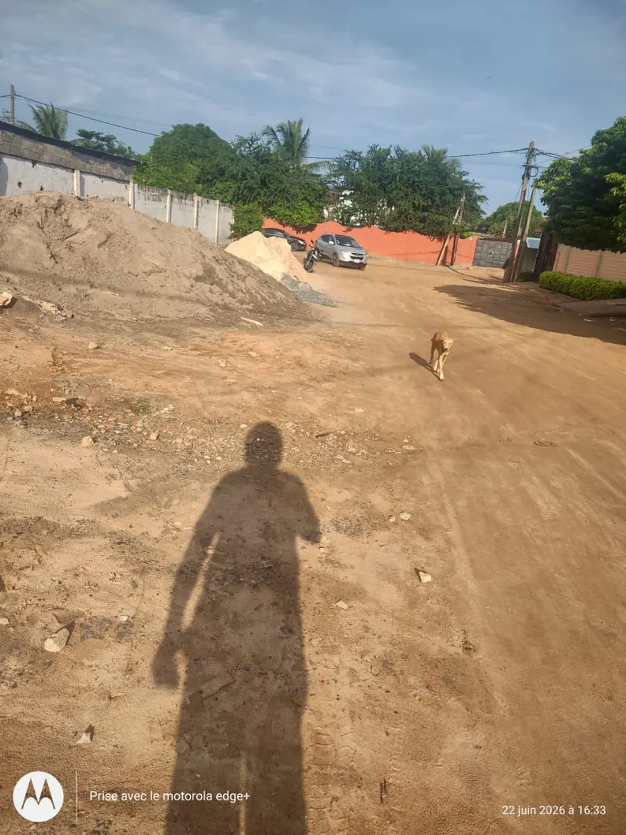 Terrain 1600 m² en vente à Hédranawoè – 50 millions FCFA le lot