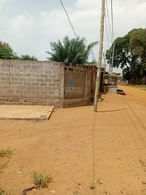 Terrain en angle de rue à vendre à Togokomé (Aného) – 4,5 millions FCFA — photo 3