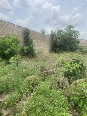 Terrain 300 m² en vente à Adetikopé Kladjémé – 7 millions FCFA