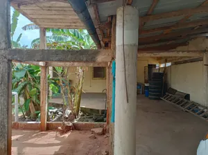 Vente d'une maison à Agoè Minamadou, 5 chambres sur 1 lot (600 m²), face grande voie, 2 bâtiments + 2 boutiques – 70 millions FCFA — photo 5