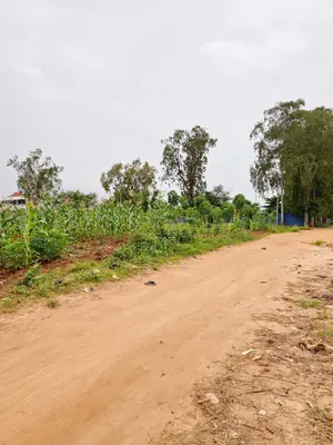 Terrain 3 lots 1800 m² en vente à Adidogomé Apédokoé, proche du goudron – 26 millions FCFA le lot