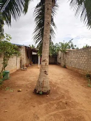 Terrain avec bâti de 236 m² en vente à 100 mètres du goudron à Legbassito Zovadjin – 13 millions FCFA — photo 10