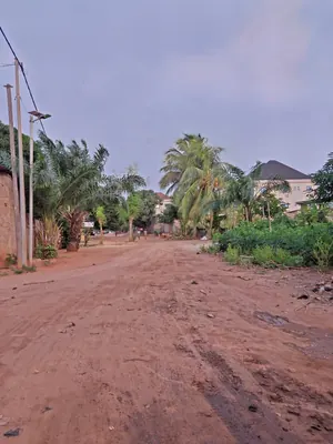 Terrain 754 m² en vente en bordure de voie à Sogbossito près du carrefour Kpogli – 30 millions FCFA — photo 2