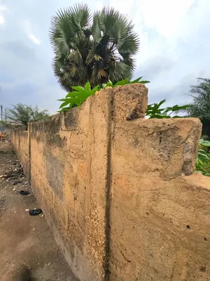 Terrain 2 lots de 1200 m² en vente en bordure de goudron à Agoè Logopé – 80 millions FCFA — photo 3