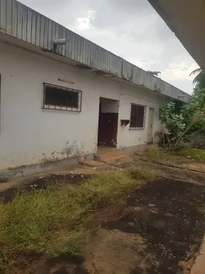 Villa 4 chambres à raser en vente à Caisse – 350 millions FCFA — photo 2