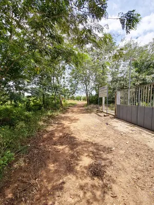 Vente d'hectares à Badja, 6 hectares, proche du goudron – 7,5 millions FCFA l'hectare — photo 11