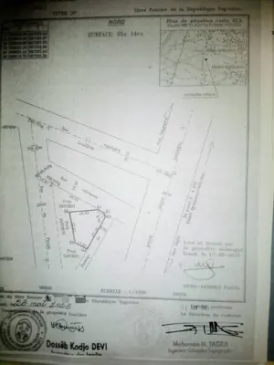 Terrain 1 lot de 544 m² en vente en angle de rue à Zanguéra-Woungomé – 16 millions FCFA