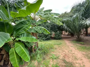 Terrain 750 m² en vente à Totsi – 60 millions FCFA — photo 2