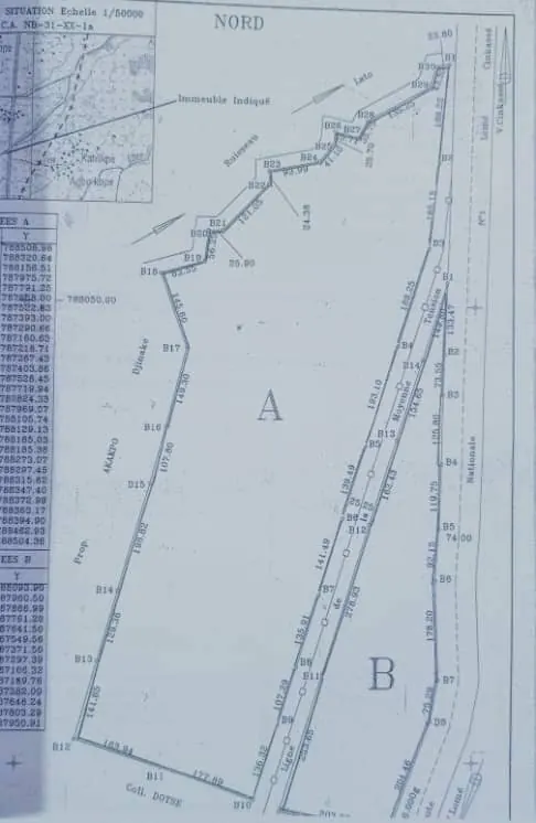 Terrain de 6000 m² en vente en bordure de goudron à Notsè Agbatsi – 3 millions FCFA l'hectare