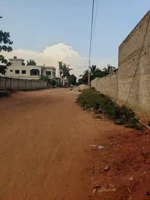 Terrain ¼ lot en angle de rue à vendre à Ségbé Démé – 5 millions FCFA — photo 4