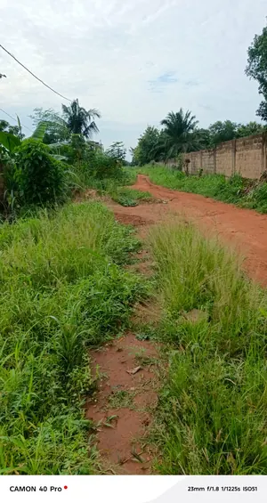 Terrain en vente à Sanguera Atidjin – 13 millions FCFA le lot — photo 2