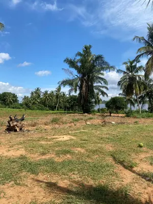 Terrain 7 lots en vente au bord du Lac Togo en bordure du goudron RN2 à Djassamé – 25 millions FCFA le lot — photo 3