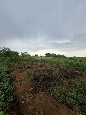 Terrain demi-lot de 300 m² en vente à Aképé Péage sur la déviation – 6,5 millions FCFA — photo 4