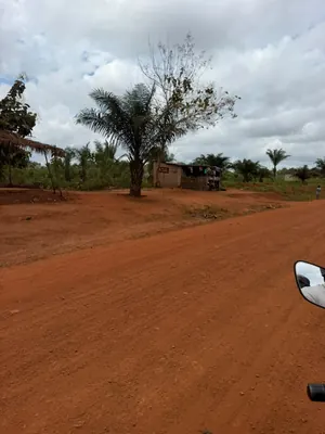 Vente de terrain à Noépé, 2 lots en bordure de voie de 70m – 10 millions FCFA le lot — photo 2